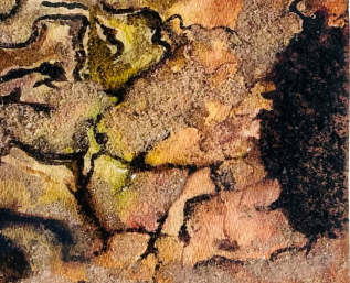 Earth's Buzz - View 2