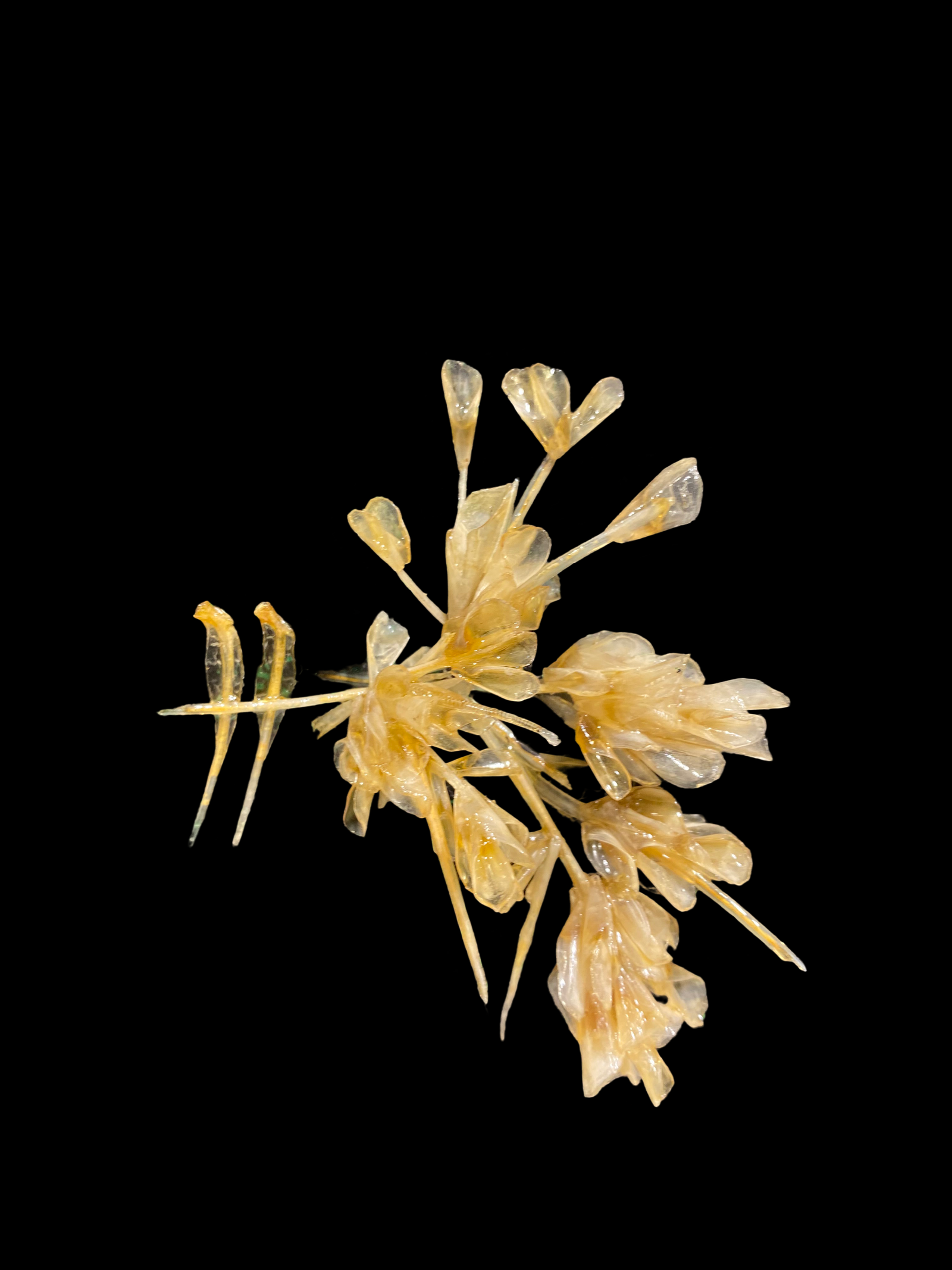 The Blind of Nature - View 3